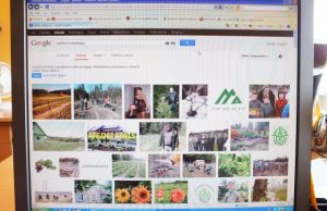 Ieškantiems žinių ir vaizdų apie Rokiškio medelyną – netikėta staigmena: tarp vaizdinės informacijos apie miškus ir miškininkus – pusnuogė Rubenso formų dama…