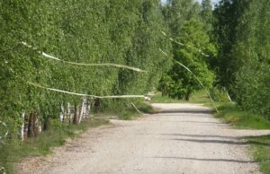 Po vagių naktinių žygių kavoliškėnai  spėliojo