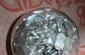 Pilnės mokinio krepšelis Žadama mokinio krepšelį padidinti 15 litų.D.Zibolienės nuotr.