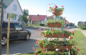 Respublikos gatvė papuošta gėlių piramidėmis.