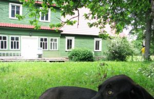 Plenero dalyviai įamžins ir dailininko Justino Vienožinskio tėviškės Dačiūnų kaime gamtą. N.Byčkovskio nuotr.