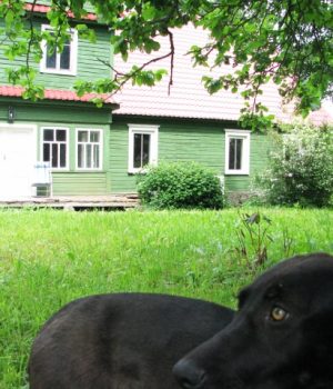 Plenero dalyviai įamžins ir dailininko Justino Vienožinskio tėviškės Dačiūnų kaime gamtą. N.Byčkovskio nuotr. Plenero dalyviai įamžins ir dailininko Justino Vienožinskio tėviškės Dačiūnų kaime gamtą. N.Byčkovskio nuotr.