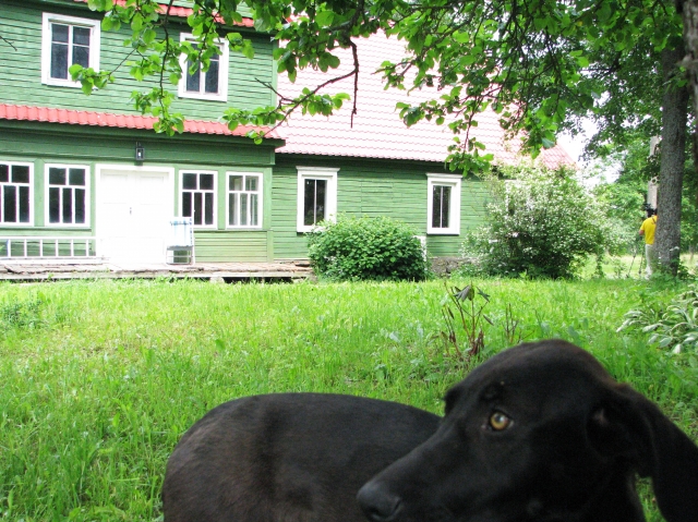 Plenero dalyviai įamžins ir dailininko Justino Vienožinskio tėviškės Dačiūnų kaime gamtą. N.Byčkovskio nuotr.