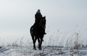 „Be žirgų nėra manęs” Esu pamišusi dėl žirgų... - sako Dovilė Sučkovaitė. D.Sučkovaitės archyvo nuotr.