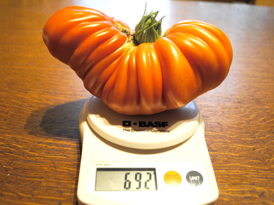 Vidos Bičiūnaitės nuotr.