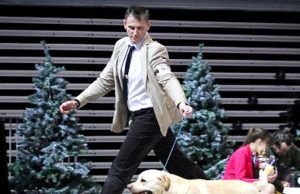 R.Godeliausko šuo Popsas parodoje demonstravo nepriekaištingą eiseną. R.Godeliausko archyvo nuotr.