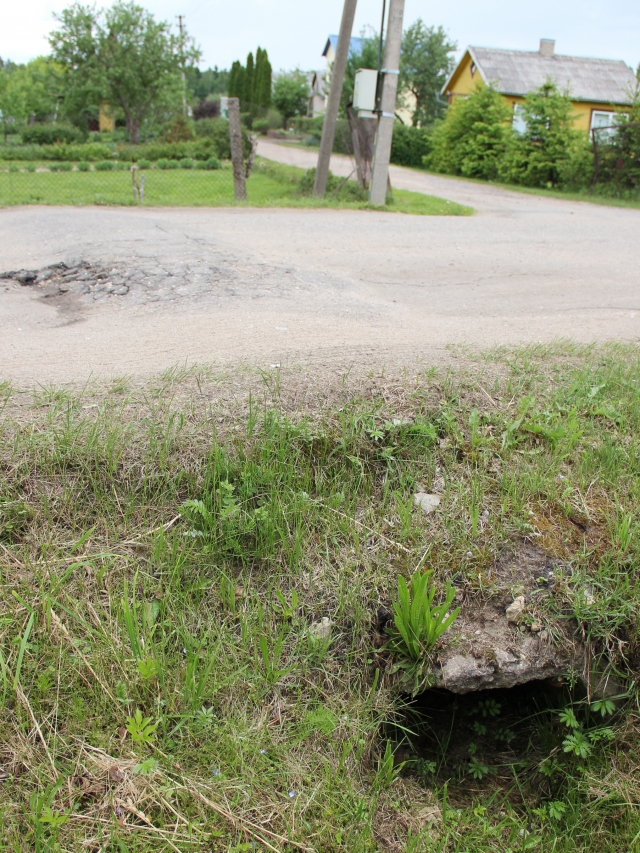 Pašalo iškilnotos pralaidos sodų kelyje – vairuotojų galvos skausmas. N.Byčkovskio nuotr.