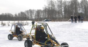 Pramogautųjų laukia azartiškas pasivažinėjimas kartingais. D.Zibolienės nuotr.