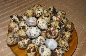 Miniatiūrinių kiaušinių dailininkės – raibaplunksnės putpelės Įvairių atspalvių bei formų raštais išmarginti kiaušiniai – tarsi meno kūriniai. A.Minkevičienės nuotr.