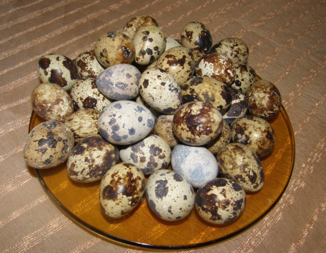 Įvairių atspalvių bei formų raštais išmarginti kiaušiniai – tarsi meno kūriniai. A.Minkevičienės nuotr. Įvairių atspalvių bei formų raštais išmarginti kiaušiniai – tarsi meno kūriniai. A.Minkevičienės nuotr.