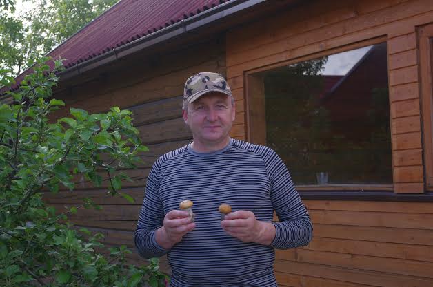 Mindaugo Šedžio raudonviršiai