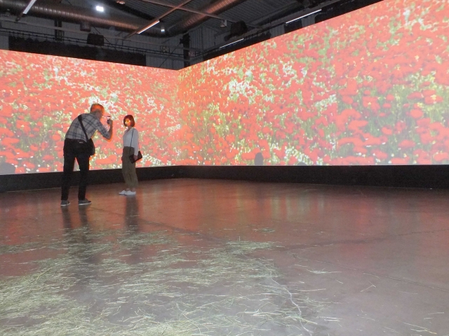 Vienas iš gausybės meno projektų – muzikinė Vladimiro Tarasovo vaizdo instaliacija „1960-ieji“. Žiūrovai galėjo prisėsti ant tikro šieno