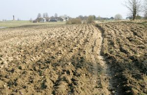 Referendumas dėl žemės pardavimo užsieniečiams - neįdomus agitatoriams? Redakcijos archyvo nuotr.