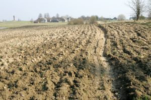 Referendumas dėl žemės pardavimo užsieniečiams - neįdomus agitatoriams? Redakcijos archyvo nuotr. Referendumas dėl žemės pardavimo užsieniečiams - neįdomus agitatoriams? Redakcijos archyvo nuotr.
