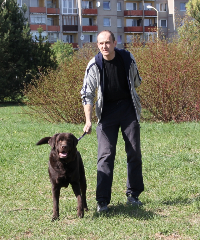 Šunų šeimininkai privalo turėti maišelį ir į jį surinkti augintinio paliktas „dovanas“. M. Katinauskienės nuotr.