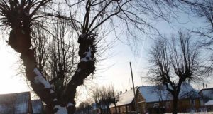 Kovo mėnesį Respublikos gatvėje prasidės darbymetis. D.Zibolienės nuotr.