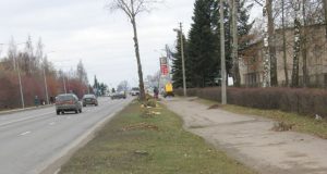 Respublikos gatvėje nupjauti medžiai. D.Zibolienės nuotr.