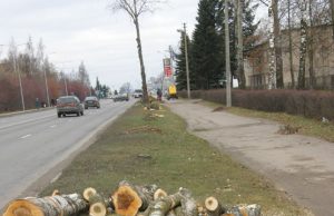 Respublikos gatvėje nupjauti medžiai. D.Zibolienės nuotr.