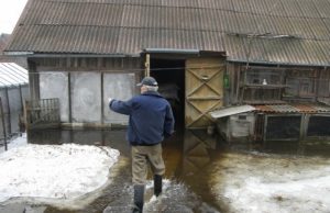 Paskendusioje sodyboje visą savaitę Vytautas Matiukas be guminių botų negali kelti nė kojos.