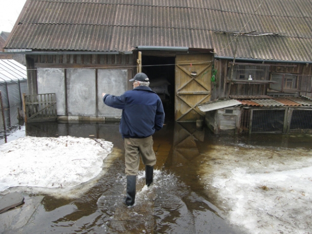 Paskendusioje sodyboje visą savaitę Vytautas Matiukas be guminių botų negali kelti nė kojos.