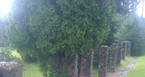 Vanduo griauna ir akmeninę tvorą. Asmeninio albumo nuotr.