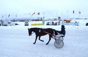 Artėja žiemos žirginio sporto šventė.