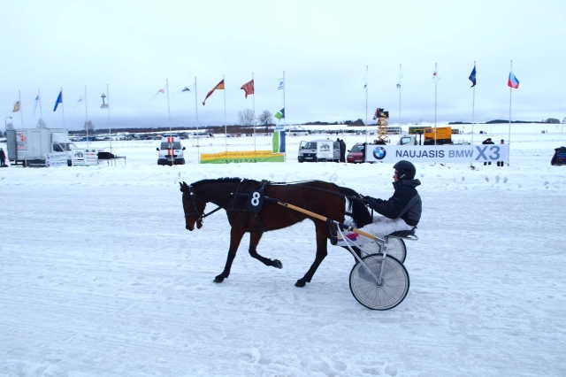 Artėja žiemos žirginio sporto šventė.