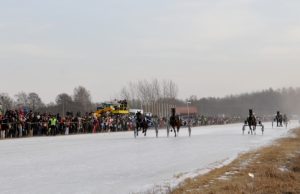 Dopingo kontrolės neišvengia ir žirgai Žirgų varžybų akimirka. Organizatorių nuotr.