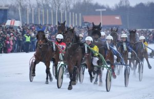 „Sartai 2015“ ledo taku skries 71 ristūnas Žirgų varžybų akimirka. Organizatorių nuotr.