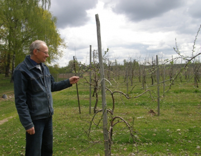 Vidas Savickas: „Žiemos šalčius sodas atlaikė