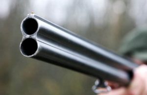 Aplinkosaugininkams tikrinant medžiotojų dokumentus driokstelėjo šūvis.