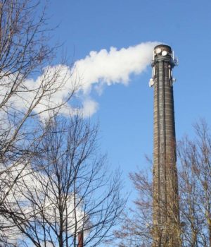 Redakcijos archyvo nuotr. Redakcijos archyvo nuotr.