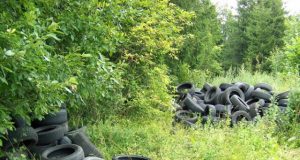 Miškininkai nebespėja miškų vaduoti nuo išmetamų padangų. Ši krūva aptikta Sėlynės girininkijos Alsetos valstybiniame miške. K.Kuodžio nuotr.