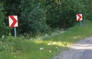 Valstybės tūkstantmečio išvakarėse pakelės „išpuoštos“ knygomis su gyvais tarakonais Pakelėse – ne grybai