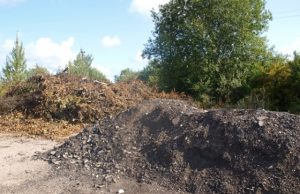 Taikos gatvės aikštelėje sukrauti kelmai ir asfalto gabalų krūvos patraukė aplinkosaugininkų dėmesį. L.Dūdaitės nuotr.