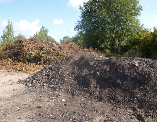 Taikos gatvės aikštelėje sukrauti kelmai ir asfalto gabalų krūvos patraukė aplinkosaugininkų dėmesį. L.Dūdaitės nuotr.