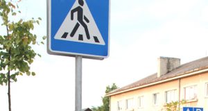 Chuliganai sudaužė Respublikos gatvės šiukšliadėžę. N.Byčkovskio nuotr.