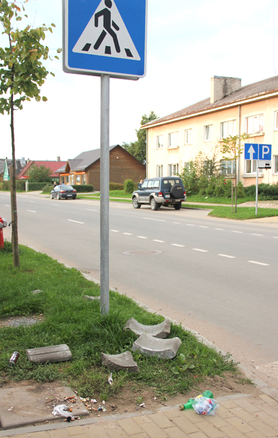 Chuliganai sudaužė Respublikos gatvės šiukšliadėžę. N.Byčkovskio nuotr.