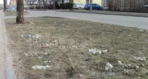 Nutirpus sniegui Vilniaus gatvėje akis bado šunų ekskrementai. N.Byčkovskio nuotr.