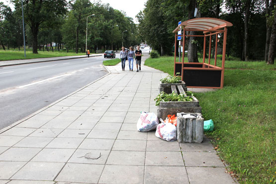 Kasryt prie autobusų stotelės komunalininkai aptinka šiukšlių. N.Byčkovskio nuotr.