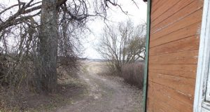 Ant namo sienos likusios kraujo žymės liudija kieme vykusią dramą. A.Minkevičienės nuotr.