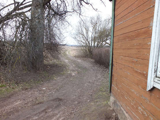 Ant namo sienos likusios kraujo žymės liudija kieme vykusią dramą. A.Minkevičienės nuotr. Ant namo sienos likusios kraujo žymės liudija kieme vykusią dramą. A.Minkevičienės nuotr.