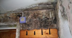 Vanduo suniokojo laiptinės sienas ir lubas.