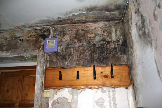 Vanduo suniokojo laiptinės sienas ir lubas.