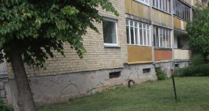 Ar užkrėstos kirminų kiaušinėliais ir lervomis smėlio dėžės vaikams? Deja