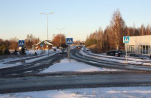 D.Zibolienės nuotr.