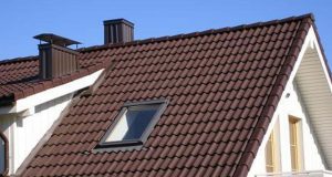 Per vasarą naujais stogais pasipuoš beveik 170 rajono kaimiškų vietovių namų. D.Zibolienės nuotr.