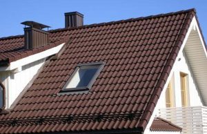 Per vasarą naujais stogais pasipuoš beveik 170 rajono kaimiškų vietovių namų. D.Zibolienės nuotr.