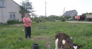 Namų palangėje veršį nuo stambaus vilko apgynusi Jekaterina Stratulat sakė