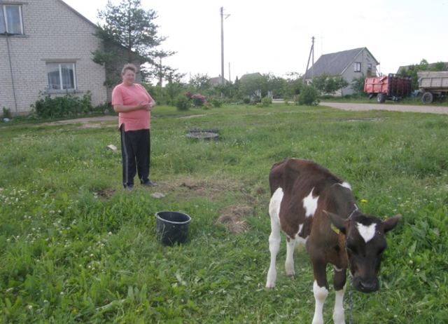 Namų palangėje veršį nuo stambaus vilko apgynusi Jekaterina Stratulat sakė